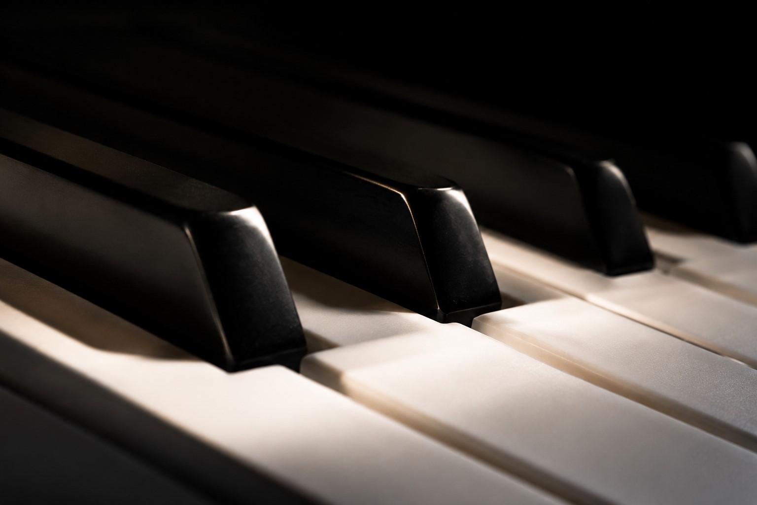 Close-up of piano keys